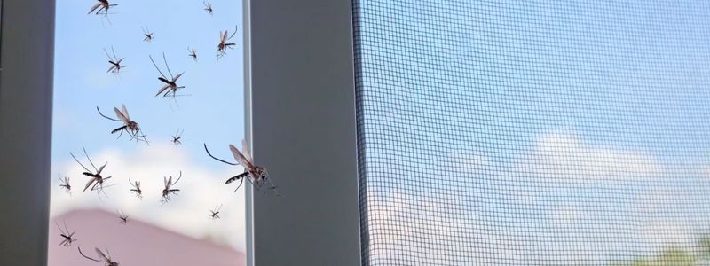 Volet roulant solaire avec moustiquaire